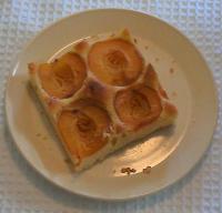 A yummy apricot slice