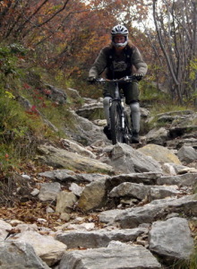 Mehr über den Artikel erfahren Testriding my Canyon Torque