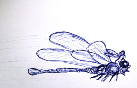 100sketches_43