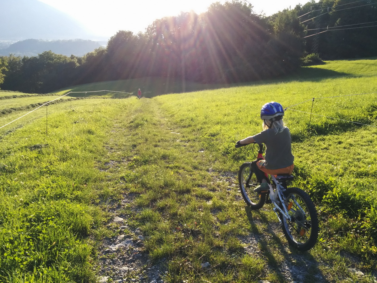 Mehr über den Artikel erfahren Nino, der Mountainbiker