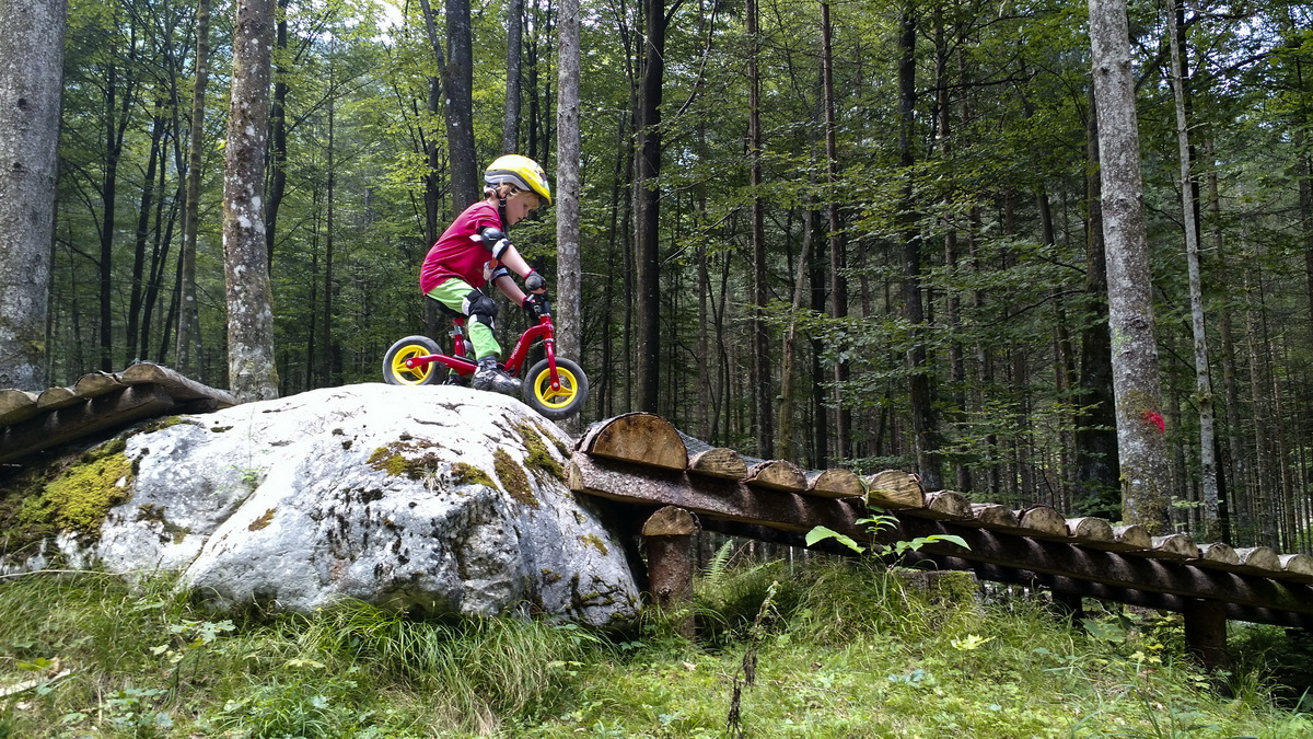 Mehr über den Artikel erfahren Bikeaction im Salzkammergut