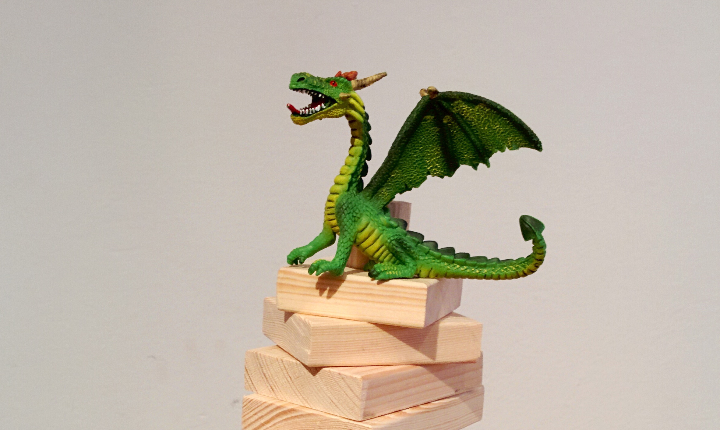 Mehr über den Artikel erfahren Der kleine grüne Drache